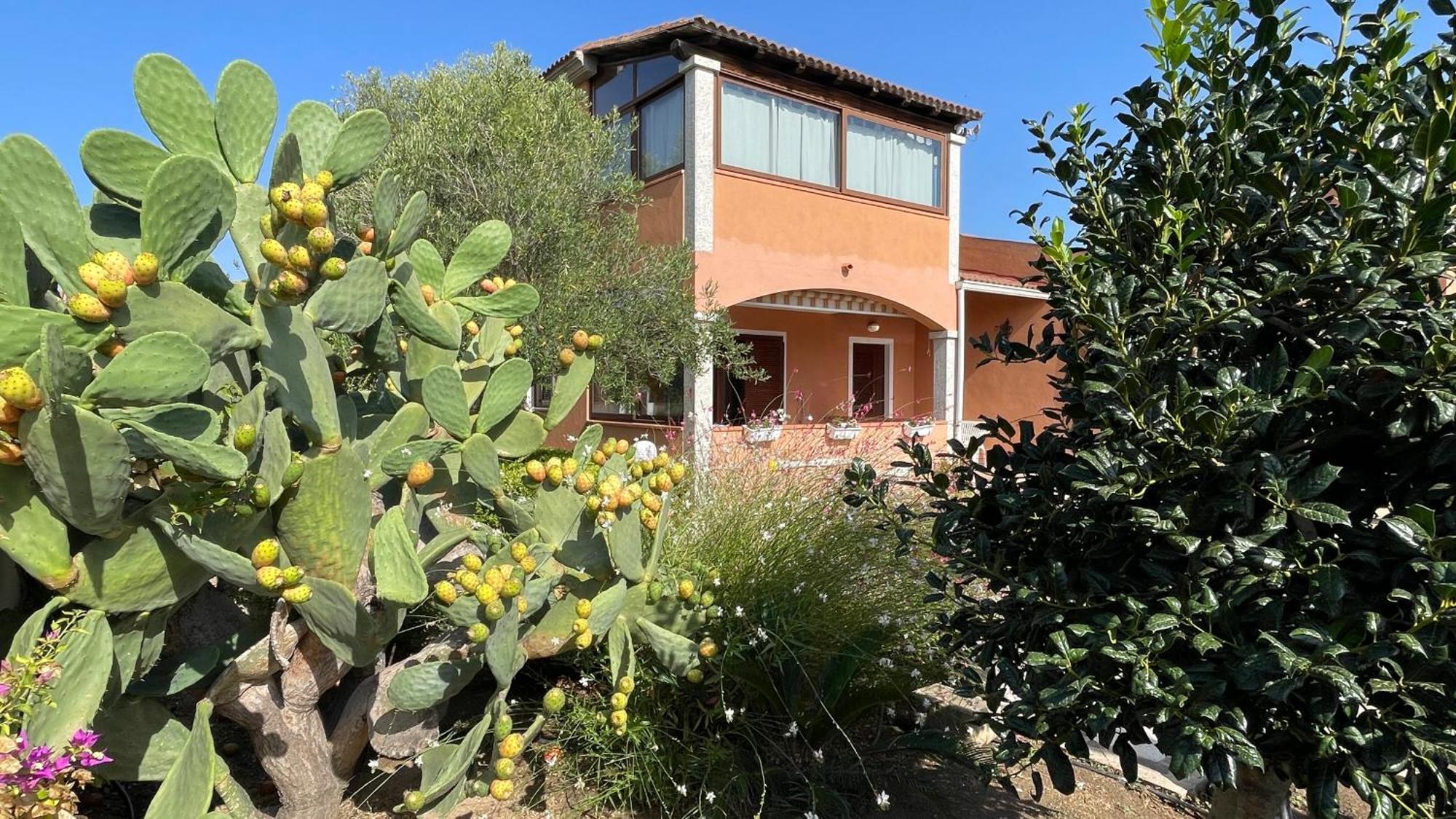 Sardegna - Villa Mirto & Flowers Olbia Zewnętrze zdjęcie